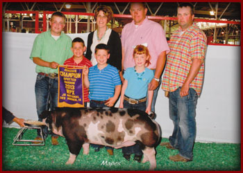 13 Reserve Champion Spotted Barrow World Pork Expo